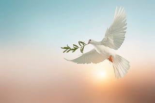 Mercy, Mercy, Mercy. Blessed Are The Peacemakers.