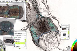 So You Want to Hire a Science Illustrator