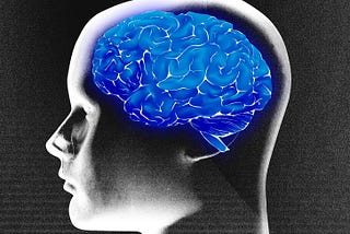 Flu Vaccine and Brain Health: What the Biological Evidence Says