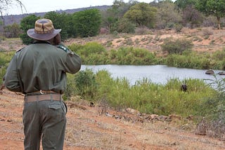 The Bushveld Matador