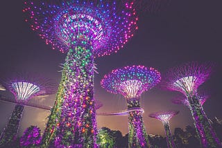 Emerging Markets VC & Startups: What Emerging Markets Can Learn from Singapore