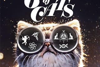 6 Degrees Of Cats Launches Third Season: Naps, Joseph Pilates & Burnout