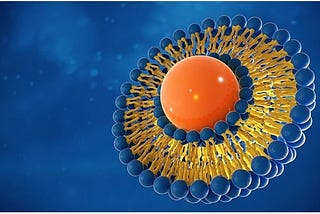 Liposomes | An overview