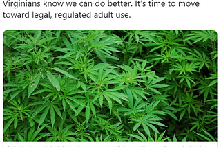 How Marijuana Legalization is Becoming the Key Factor in Upcoming Virginia Elections