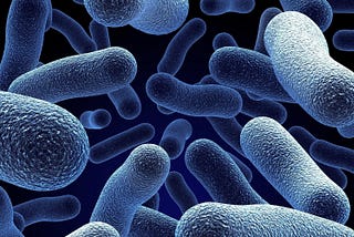 Microbial Surveillance: How It Works & Why It’s Important