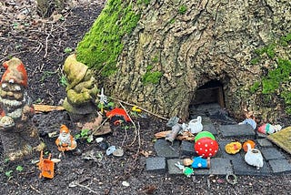 Why You Should Believe in Fairies