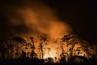 Amazônia e o desenvolvimento de políticas públicas eficazes para a conservação do bioma e povos…