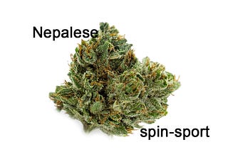 Nepalese Marijuana Strain