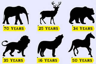 Animals Listing By Life span
