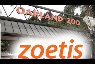 Oakland Zoo First In The Country To Provide Covid Vaccines To Animals By Joseph Armendariz