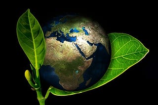 The Importance of Businesses Recycling Their Electronics — NYK Daily