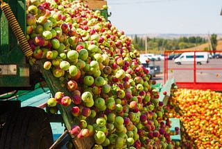 The Complex Story of an Apple (where your apple actually comes from)