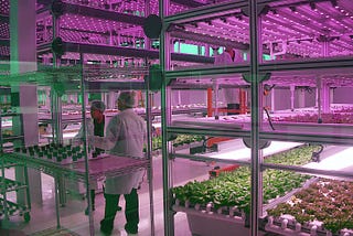 Indoor Farms Driven By IoT and Data