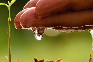 Water, the Heart of Agriculture