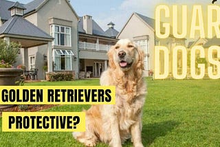 Are Golden Retrievers Protective? Why They Are & Why Not?