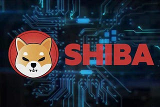 Vitalik Butterin, SHIB and the Indian Crypto Exchanges — How the scam is unfolding