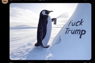 Penguins up in arms about Trump’s Tariffs on Remote Island