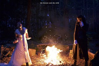 Album Cover: “The Horror and the Wild” — The Amazing Devil. Depicts one man in black and one woman in white on either side of a campfire in a forest