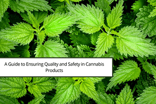 A Guide to Ensuring Quality and Safety in Cannabis Products