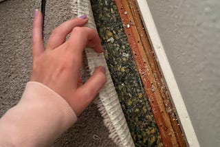 Tips & tricks on How to Tell if There Is Mold Underneath Your Carpet
