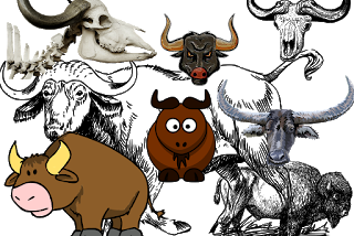The story of Buffalo Buffalo buffalo buffalo buffalo buffalo buffalo buffalo, applies to Crypto as…