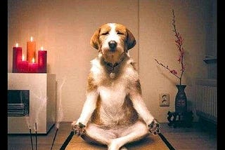 Please don’t tell me to meditate