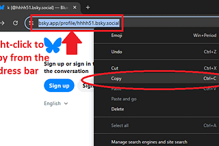 Bluesky downloader for getting all images at once