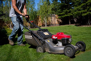 Winter Lawn Care Tips for a Better Spring