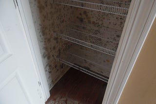 Proven Methods to Get Rid of Humidity in Your Closet and Prevent Mold Growth