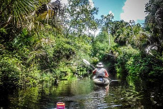 The Juniper Springs Run