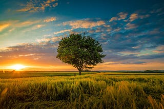 Is Prescribing Outdoor Activities the Future of Mental Health?