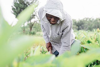 Meet A Farmer: Wandaka Musungira