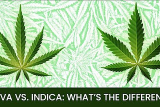 SATIVA VS. INDICA: WHAT’S THE DIFFERENCE?