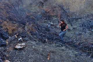 Clear-cutting is Clear-cutting