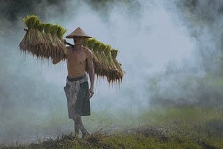 Menghadapi Tantangan Era Modern | Rendahnya Minat Generasi Muda dalam Profesi Petani