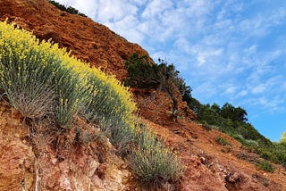 Transduction — leading transformation — Issue #197