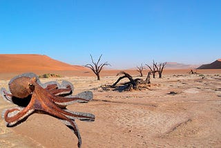 Don’t Be An Octopus In The Desert