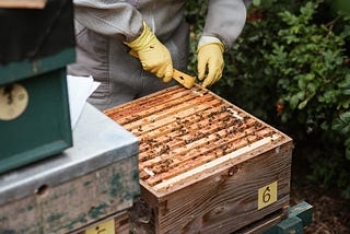 How To Clean Beekeeping Gloves?