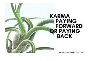 Close up of sprawling tentacles-like green plant with caption: Karma Paying Forward or Paying Back