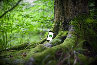 a green forest. At the base of a tree, a glowing smartphone with a leaf