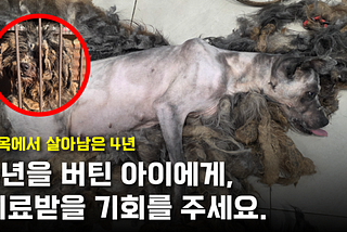 Stand With Bobbie: End Her Suffering and Demand Justice