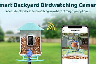 Solar Powered Bird Feeder with Camera: Your Complete Guide 2024