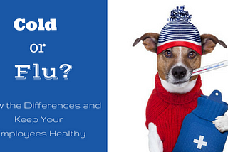 Flu or Cold? Know the Differences and Keep Your Employees Healthy