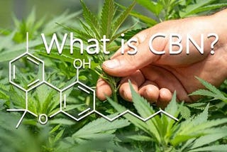 What is CBN and how can it benefit you?