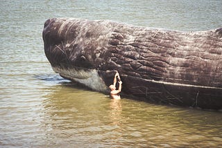 The Cognitive Science behind why “Bachelor Groups” of Sperm Whales are dying together