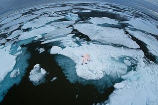 Global warming: myth or reality?