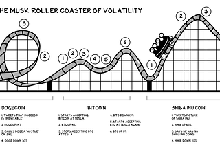 The Elon Musk Rollercoaster of Volatility