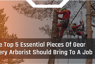 The Top 5 Essential Pieces Of Gear Every Arborist Should Bring To A Job