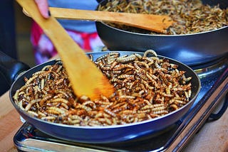 WHY EATING INSECTS WON’T SAVE THE PLANET