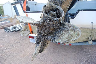 More work needed to keep Washington’s waters clear of aquatic invasive species program works to…